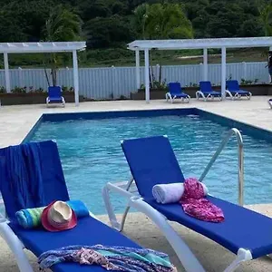 Natty's Cozy House In Hanover Jamaica Villa